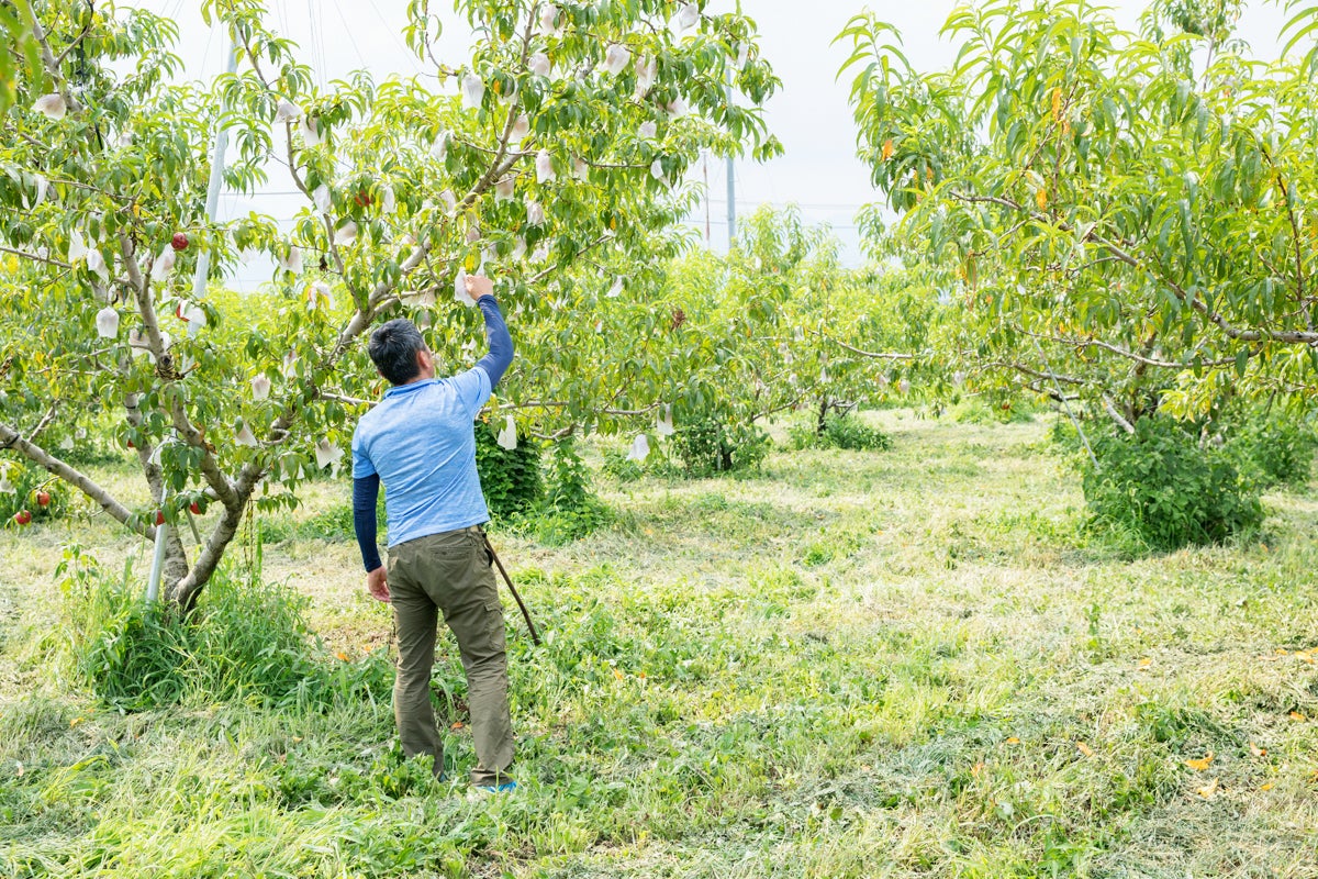 3番目のメイン画像