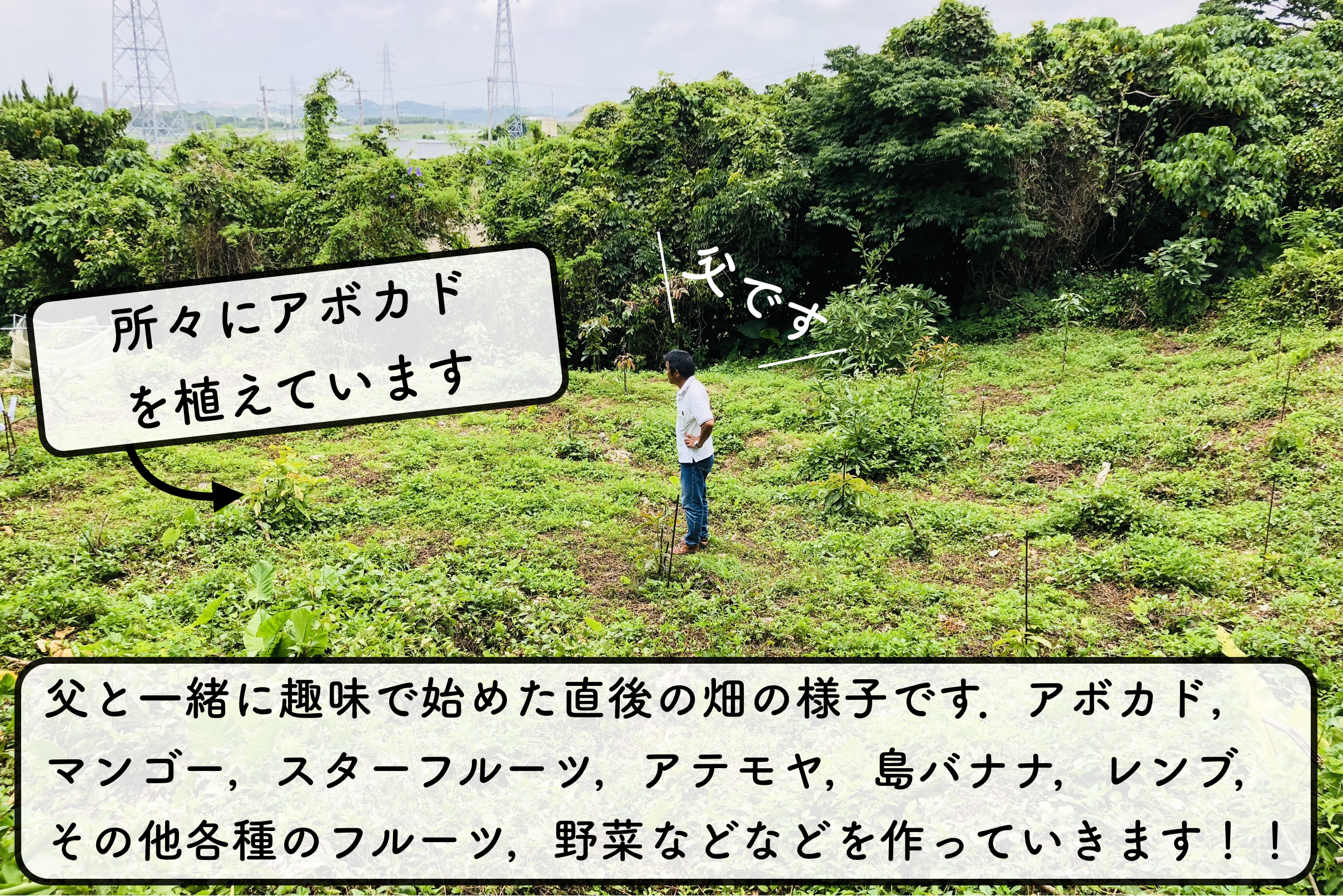 2番目のメイン画像