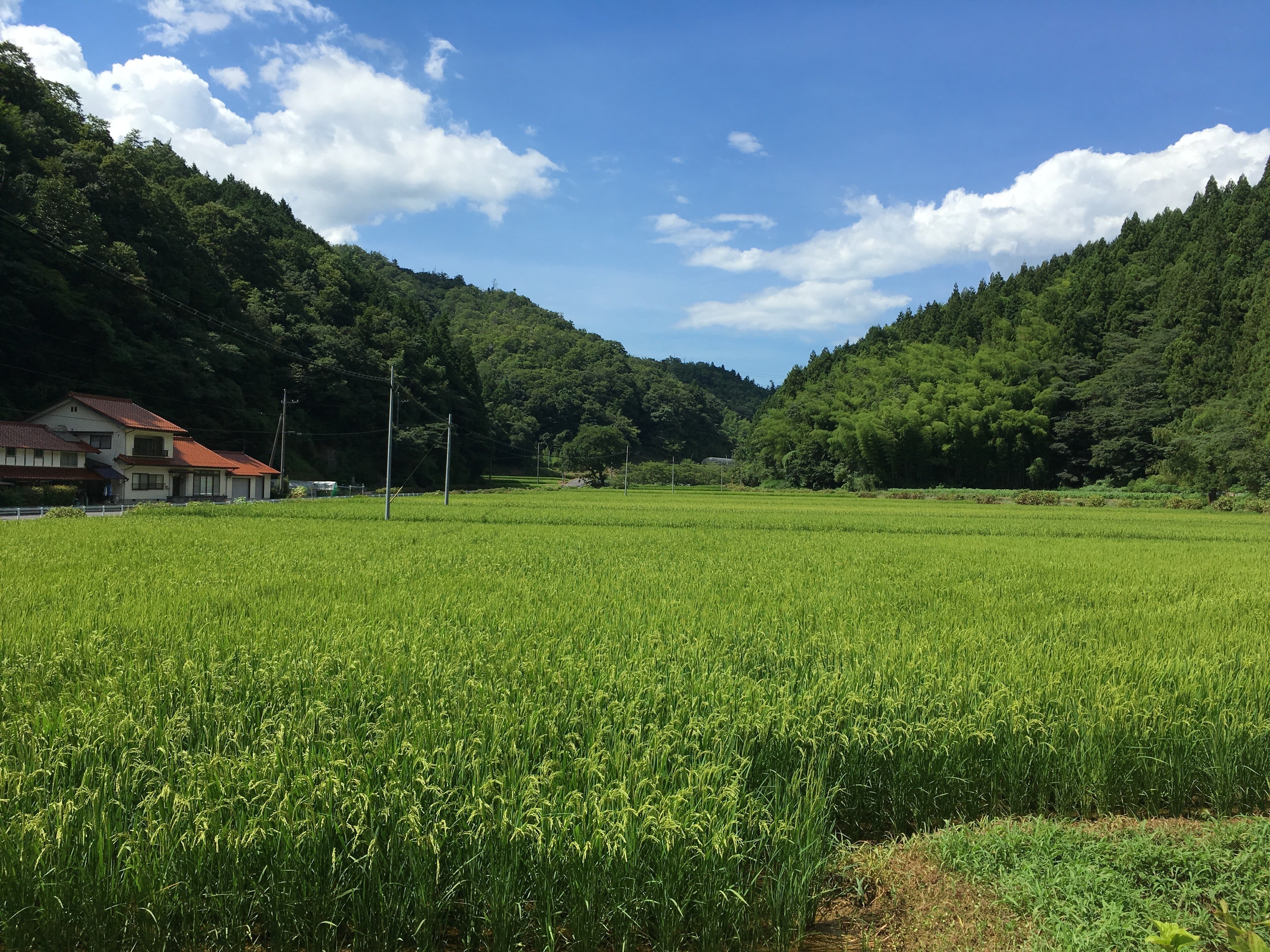 5番目のメイン画像