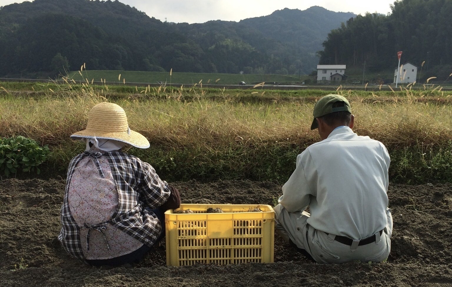 3番目のメイン画像