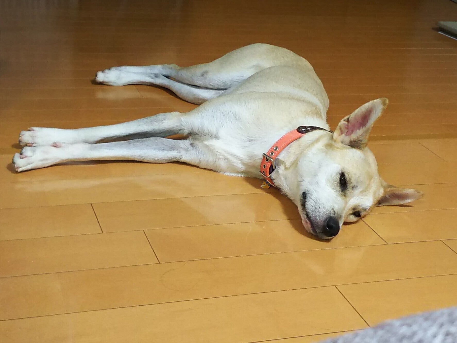 2番目のメイン画像