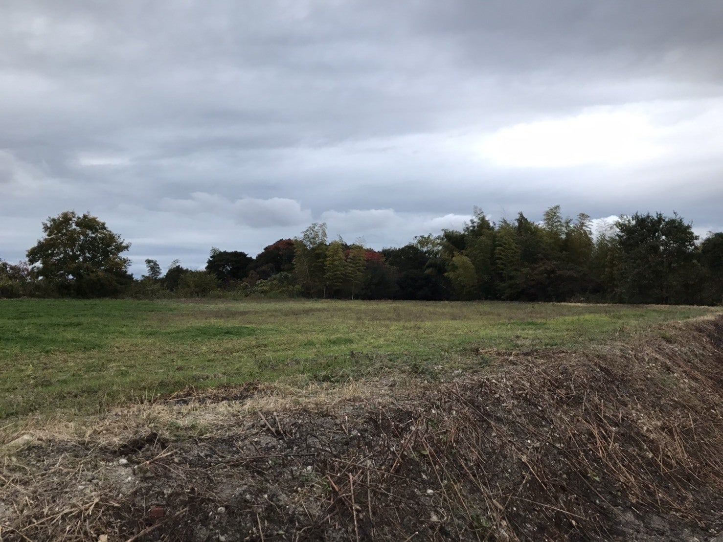 3番目のメイン画像