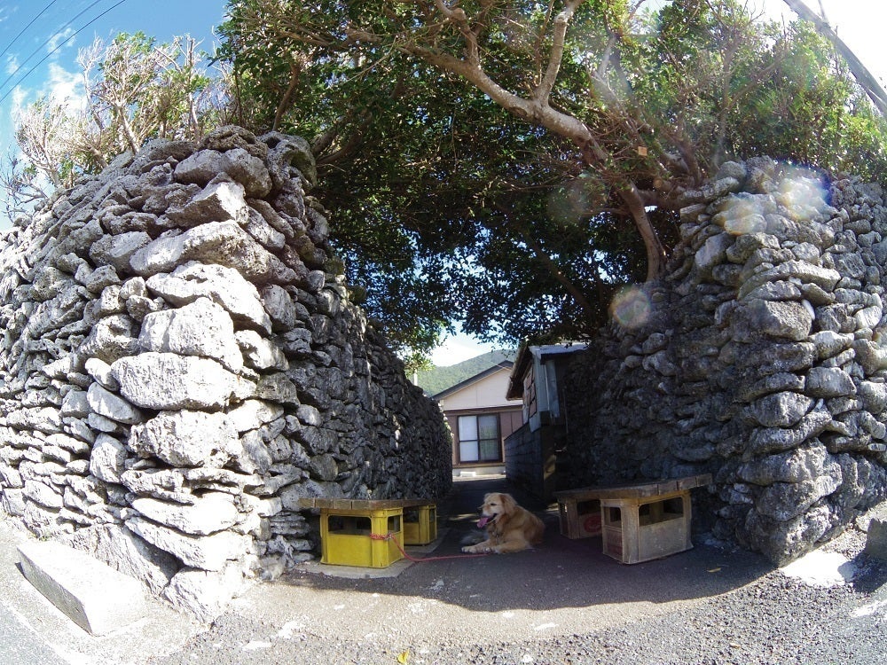 3番目のメイン画像