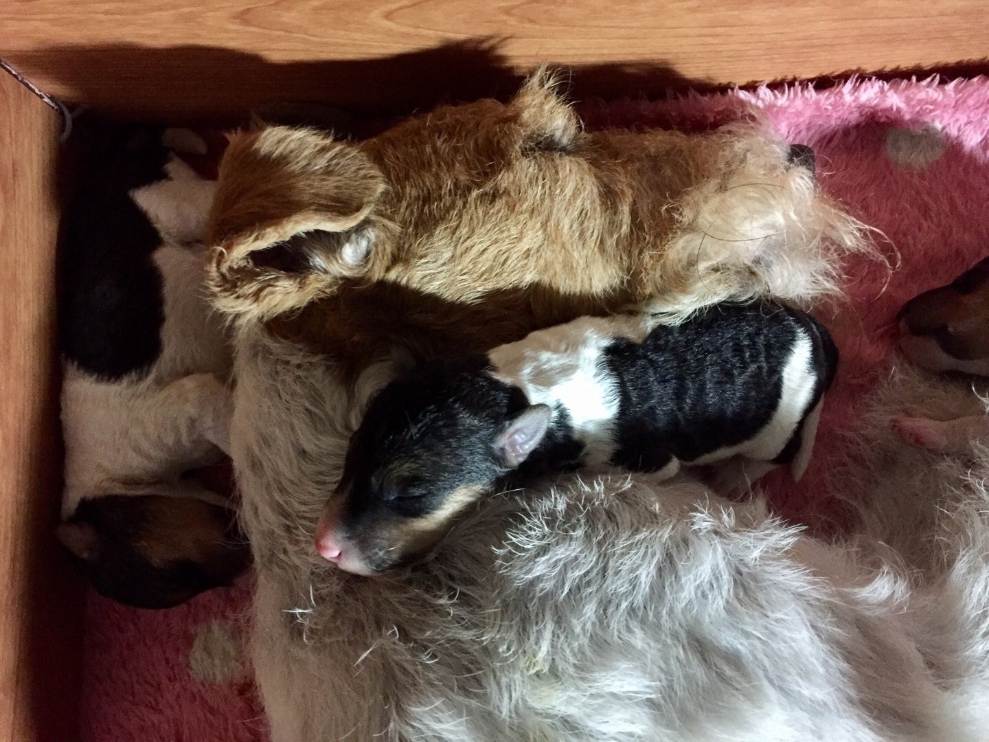 5番目のメイン画像