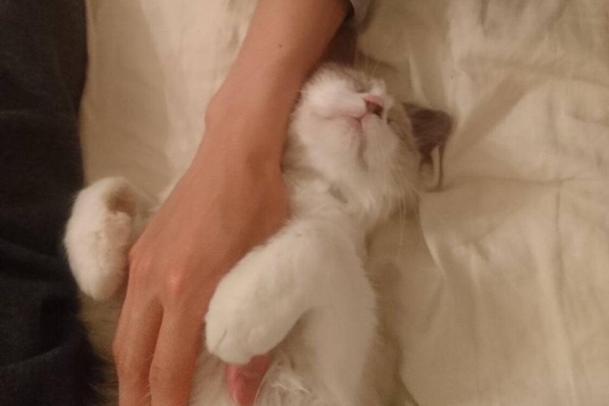 1番目のメイン画像