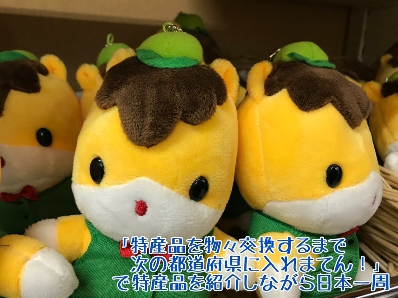 2番目のメイン画像