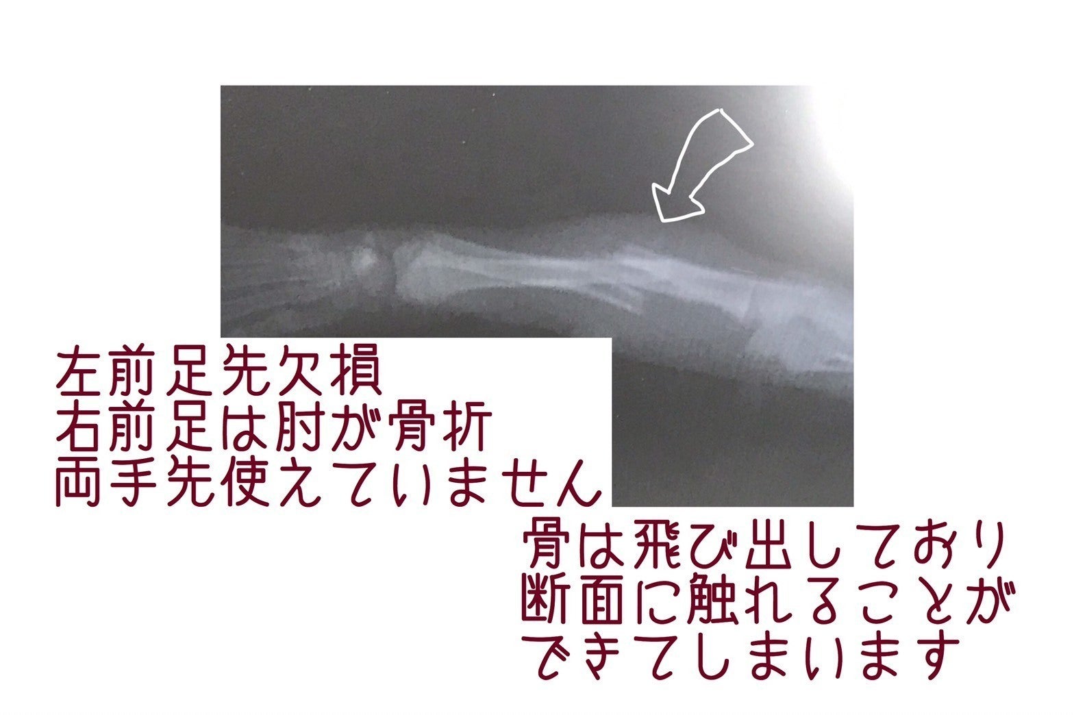 3番目のメイン画像