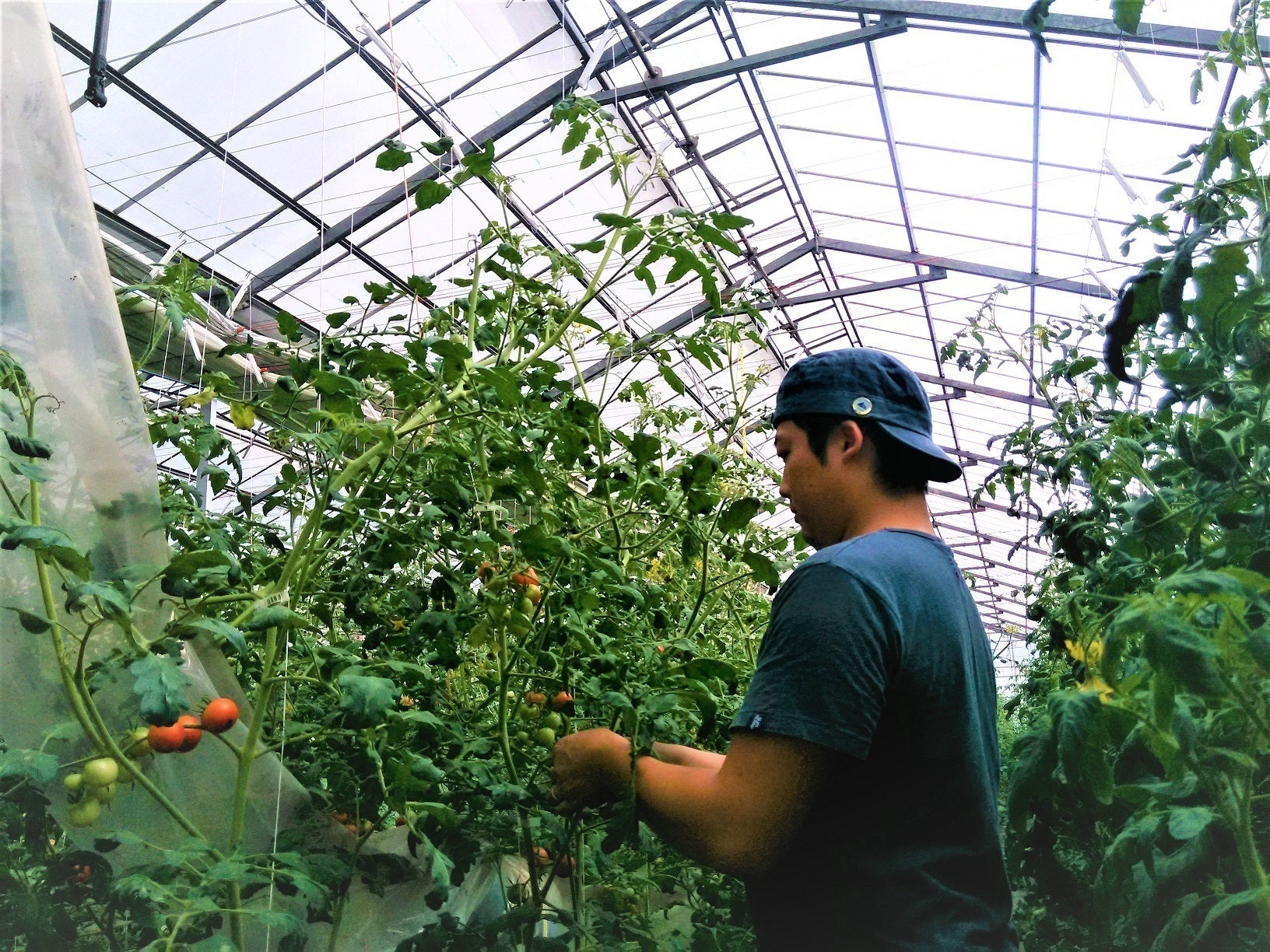 2番目のメイン画像