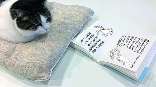 4番目のメイン画像