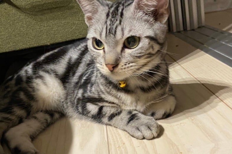 1番目のメイン画像