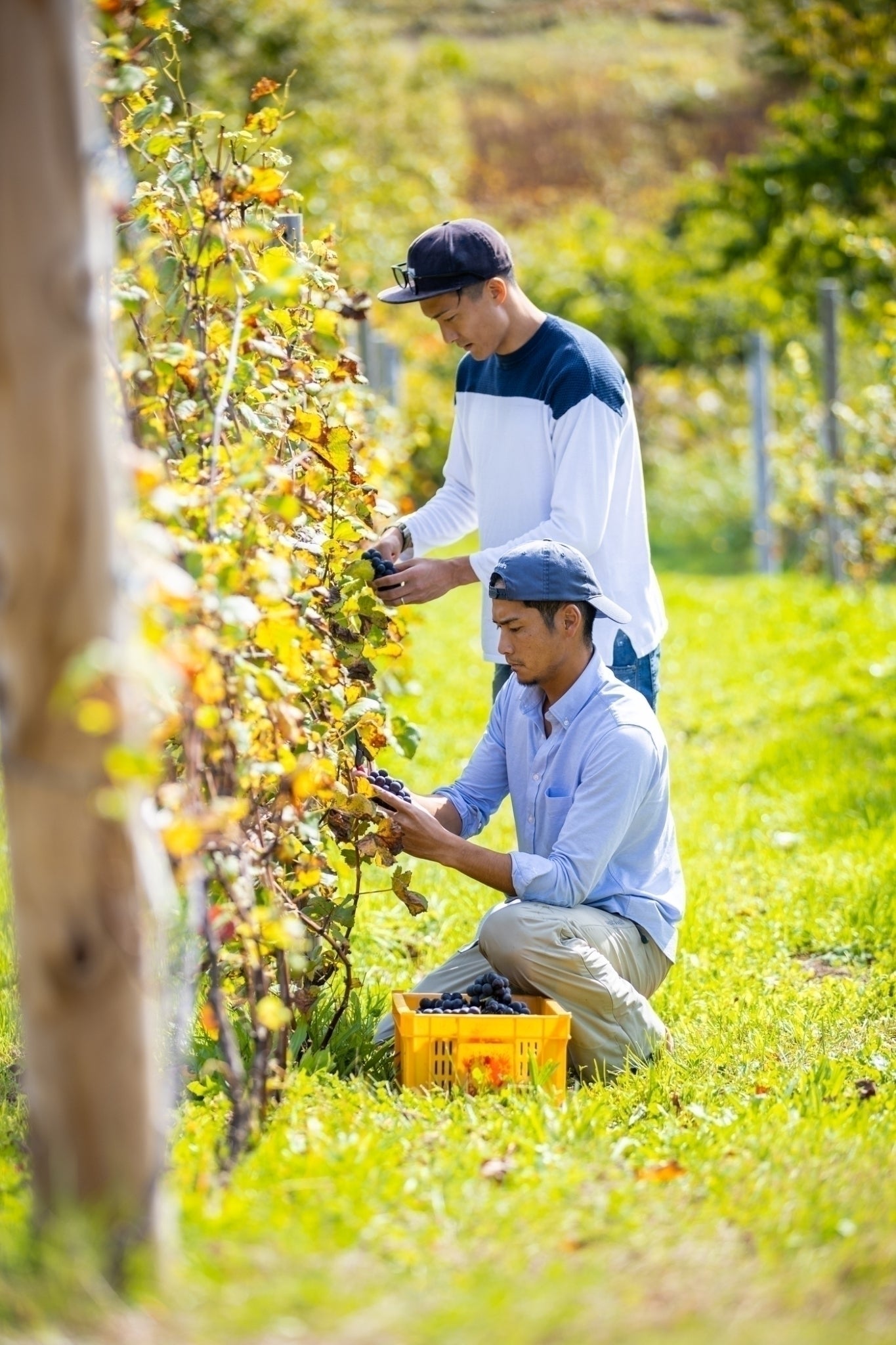 4番目のメイン画像