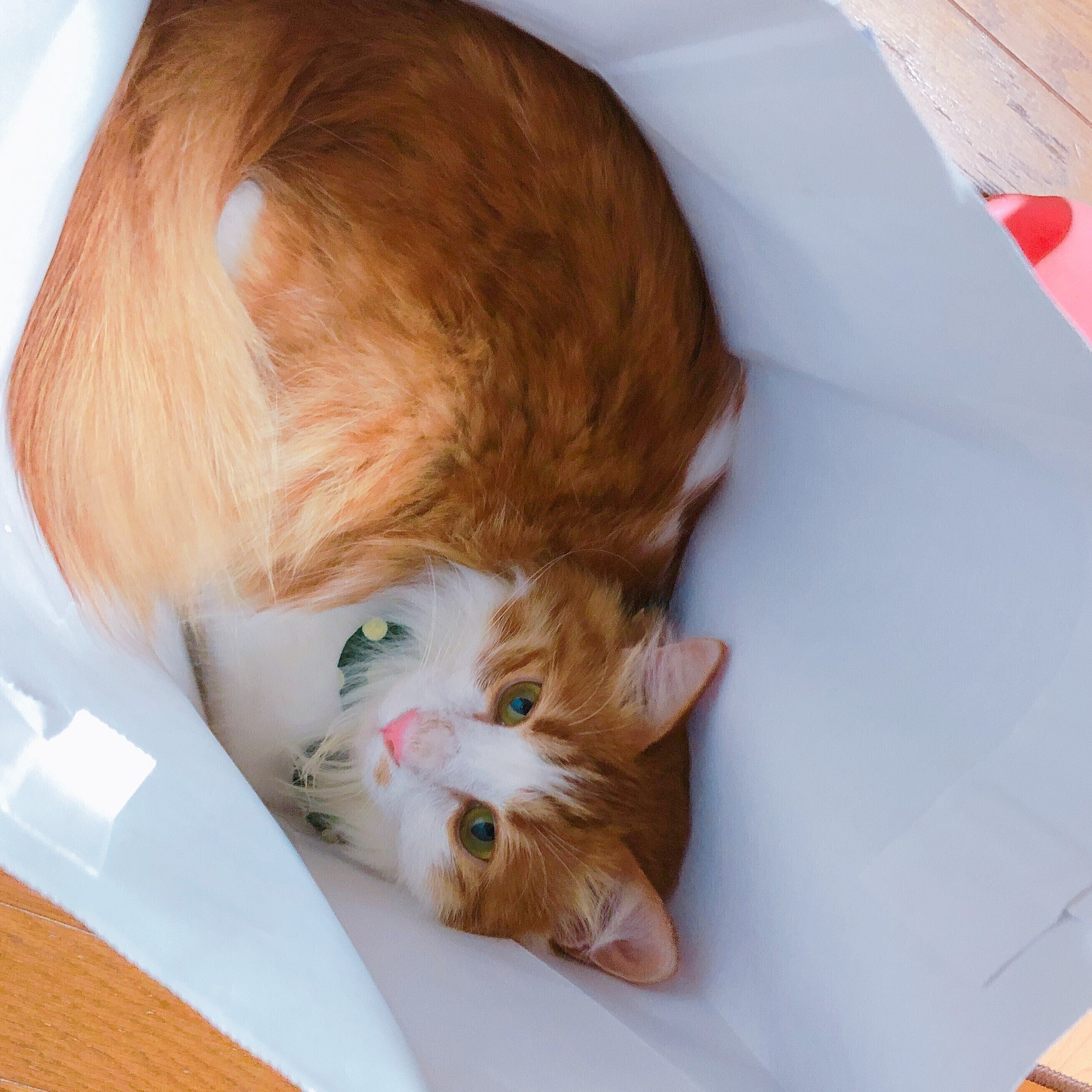 4番目のメイン画像