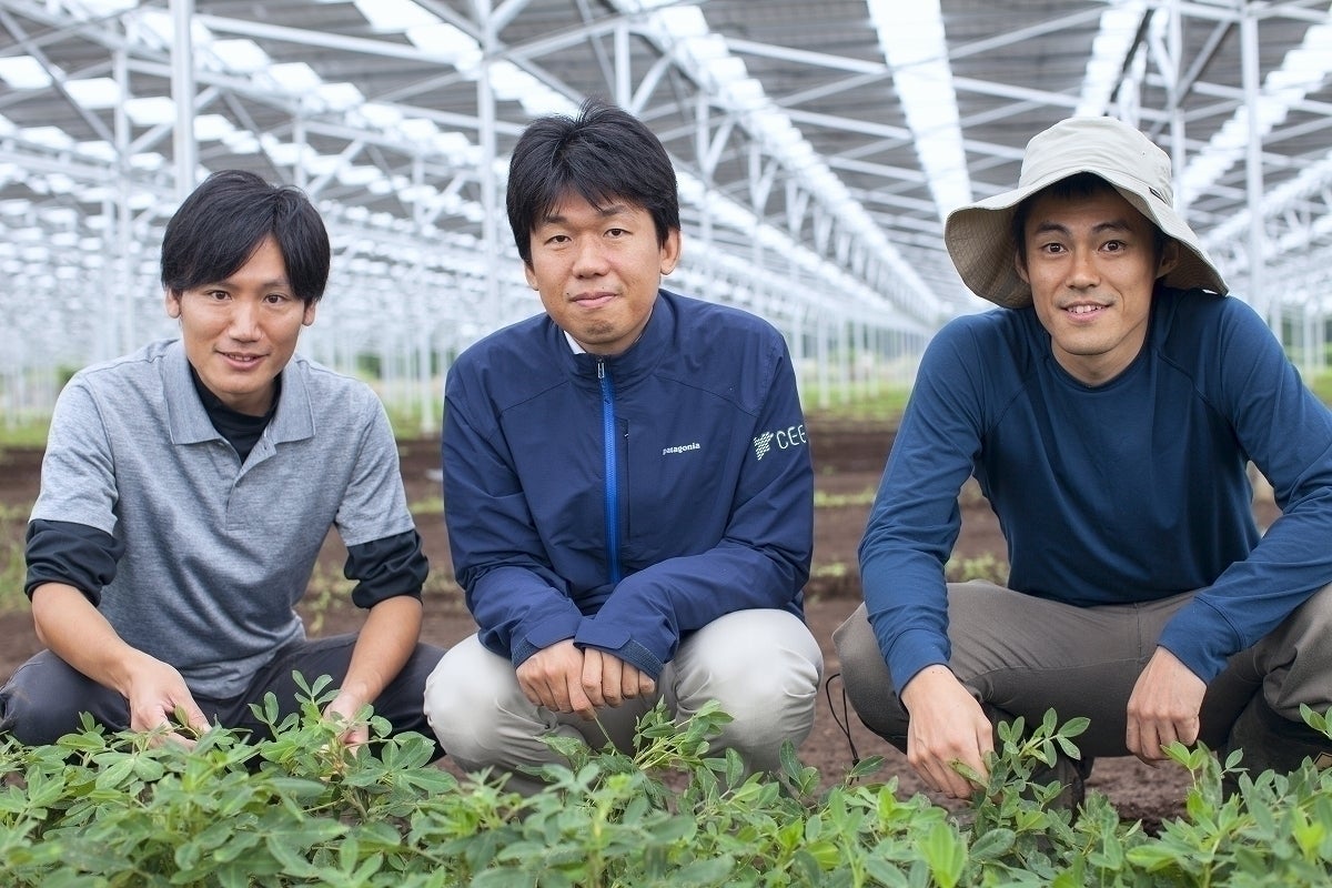 2番目のメイン画像