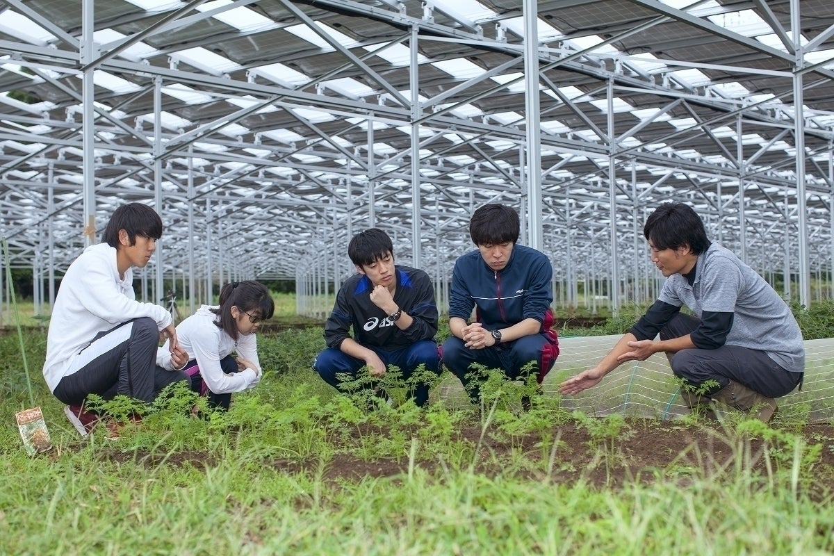 3番目のメイン画像