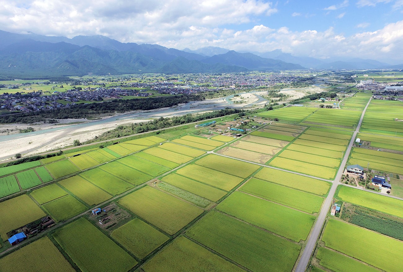 2番目のメイン画像