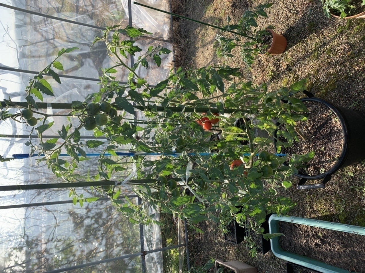 5番目のメイン画像