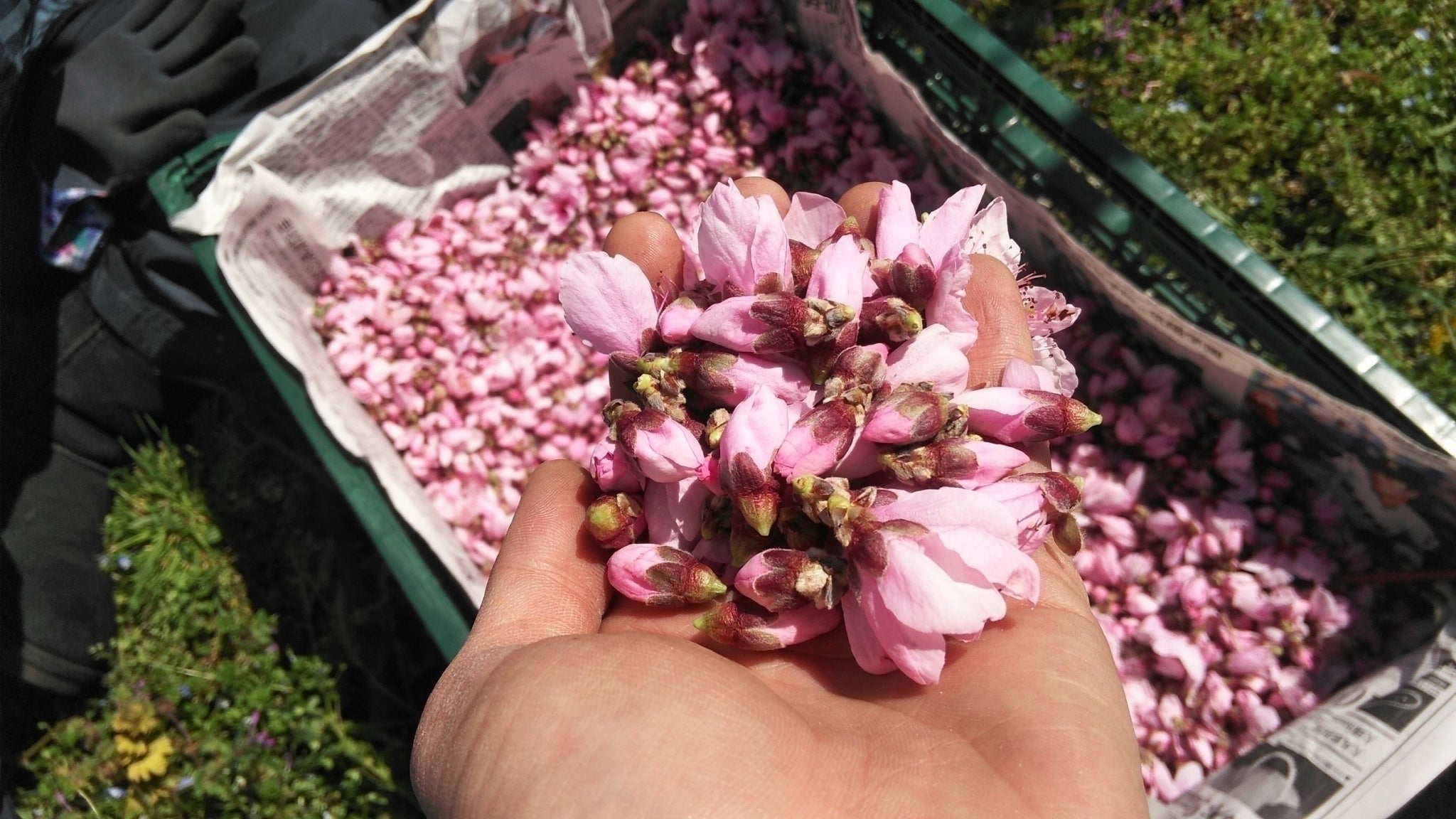 4番目のメイン画像