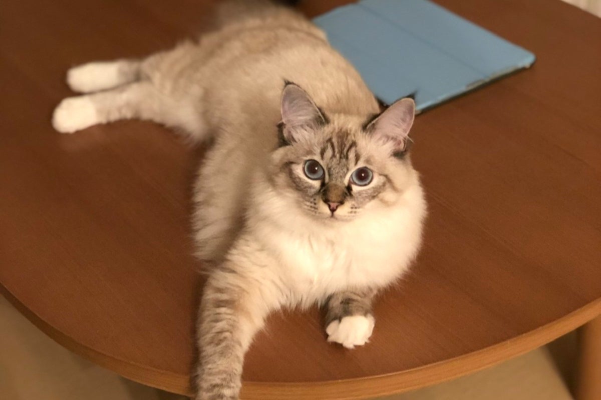 1番目のメイン画像