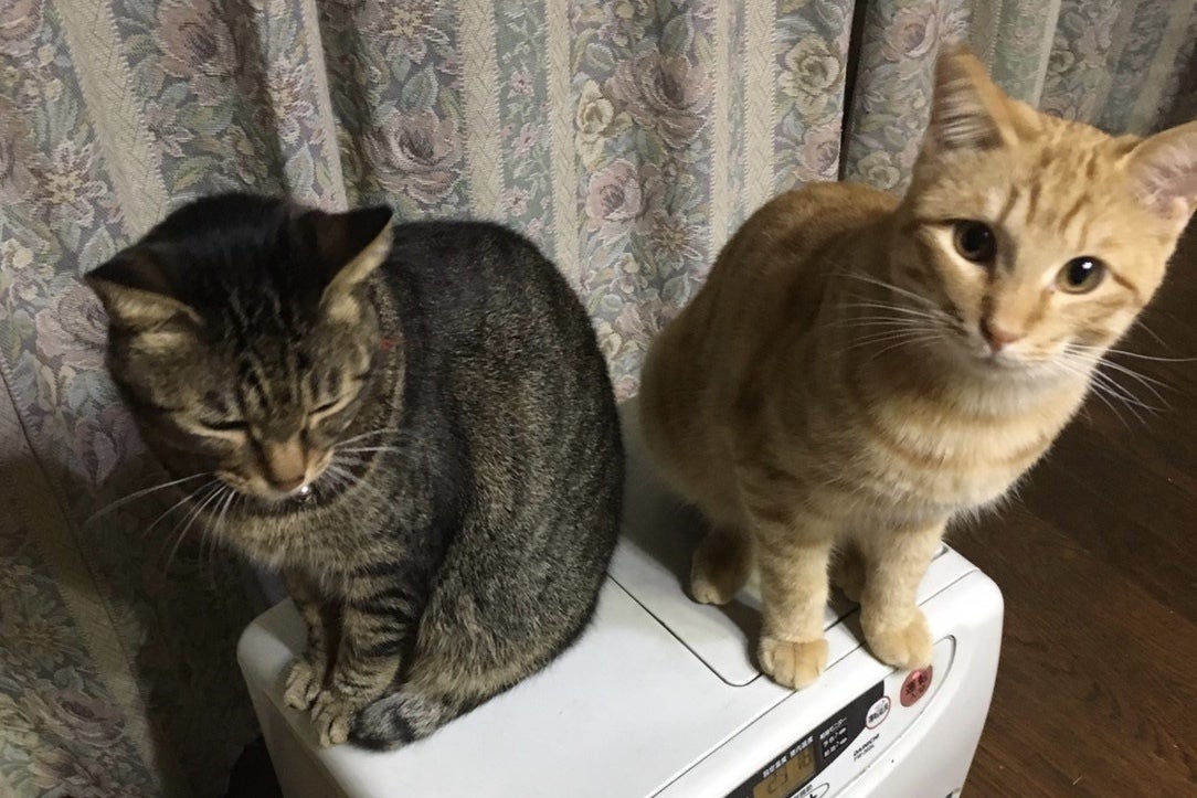 2番目のメイン画像