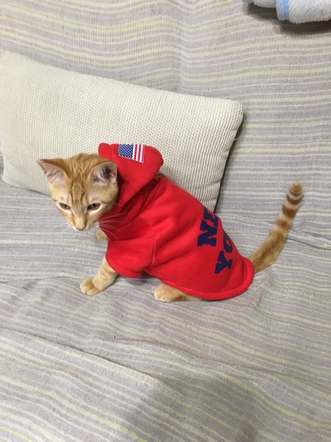 4番目のメイン画像