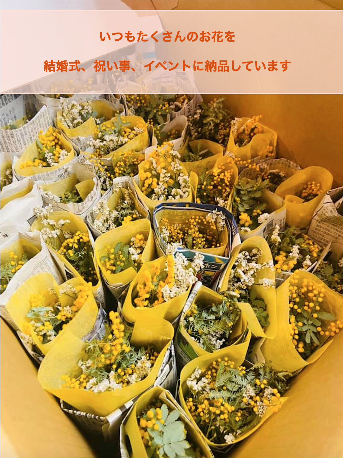 2番目のメイン画像