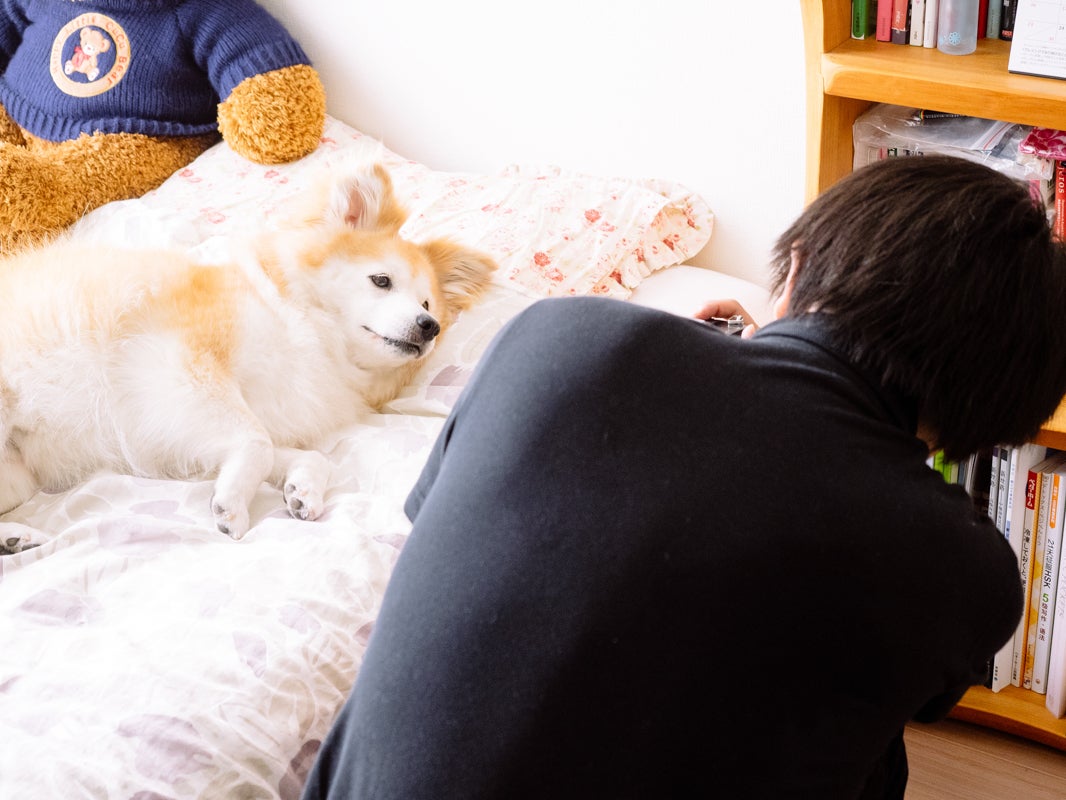 2番目のメイン画像