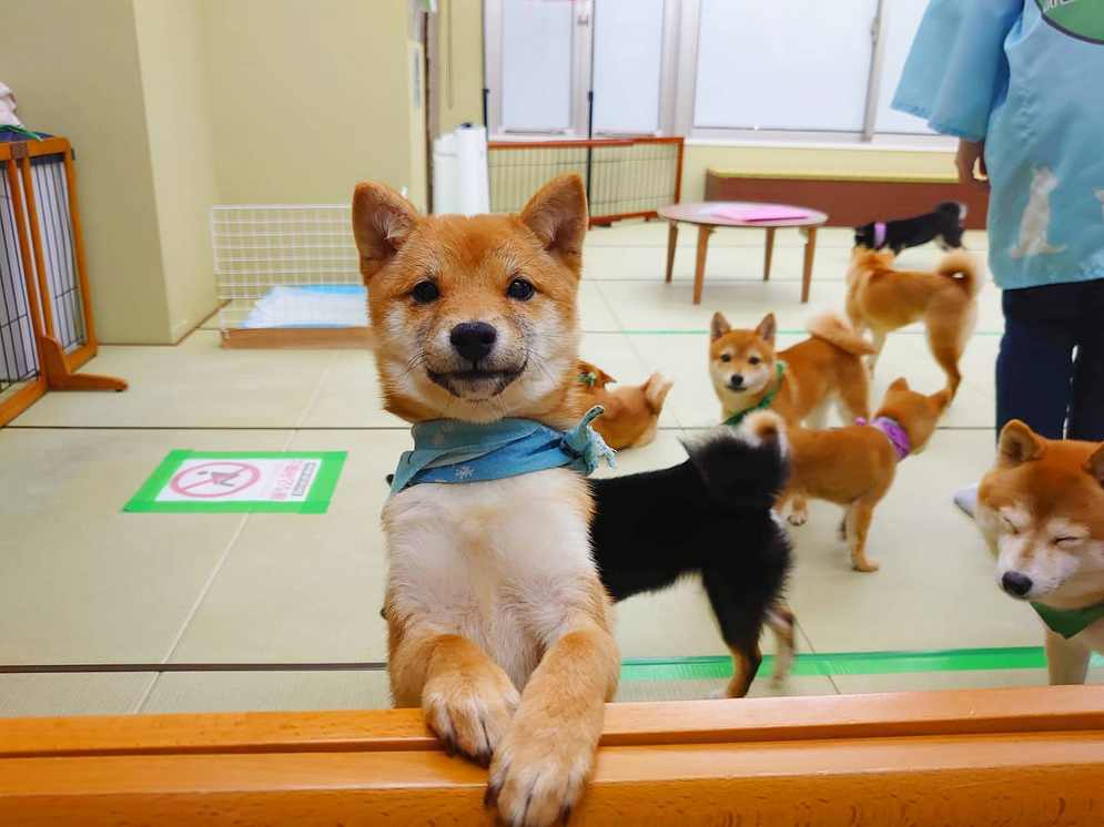 5番目のメイン画像