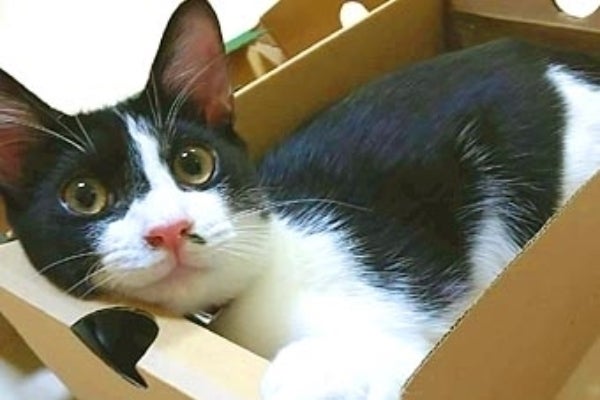 1番目のメイン画像