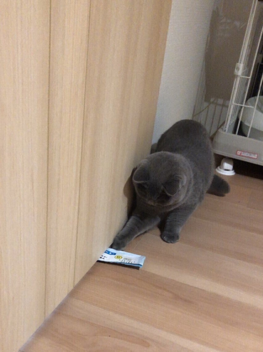 5番目のメイン画像