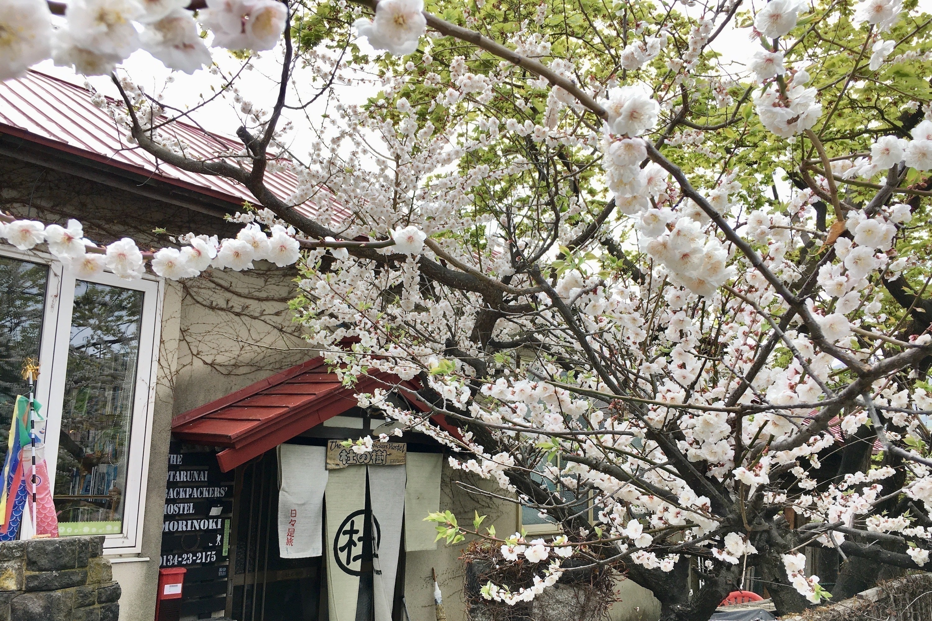 2番目のメイン画像