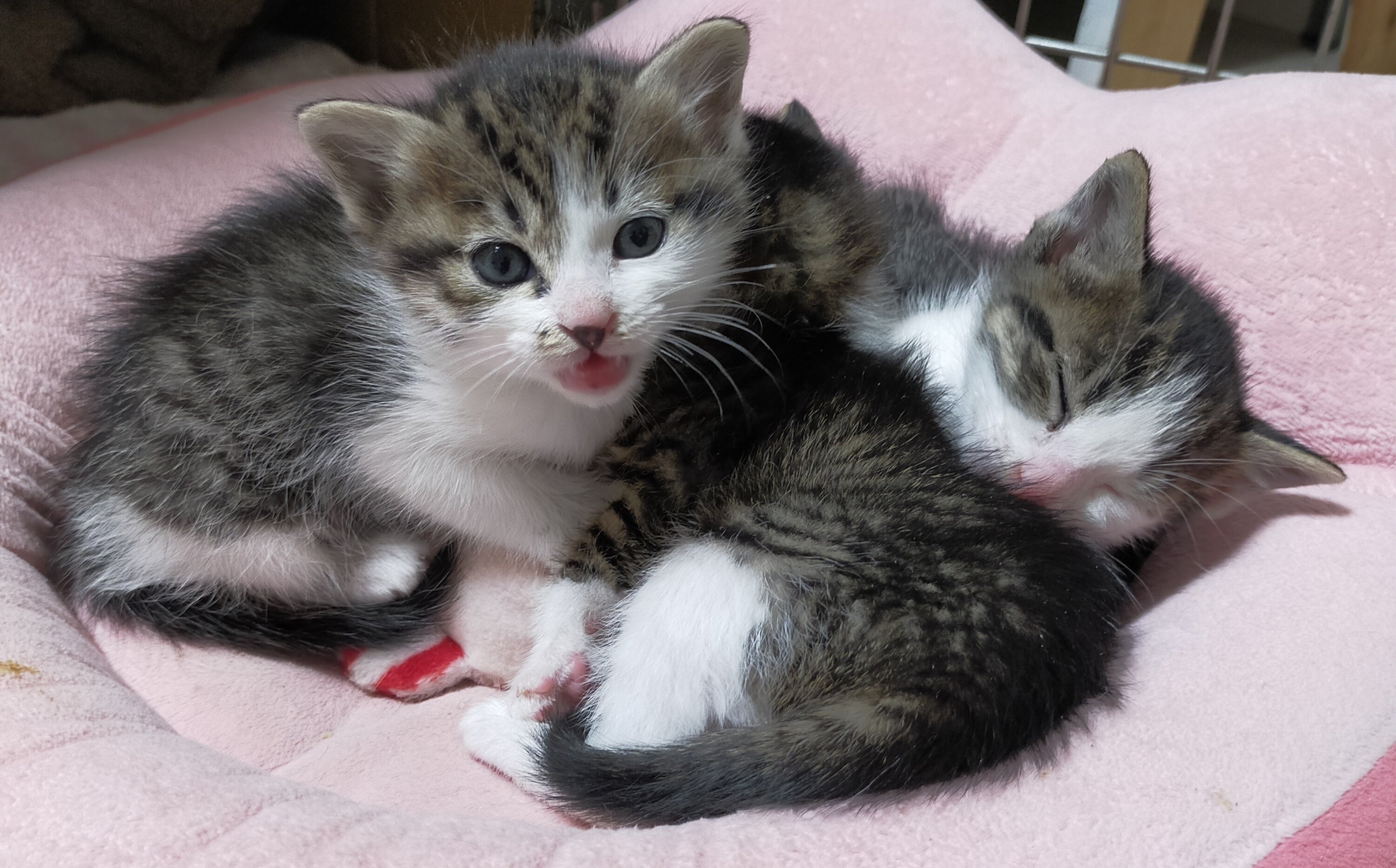 5番目のメイン画像