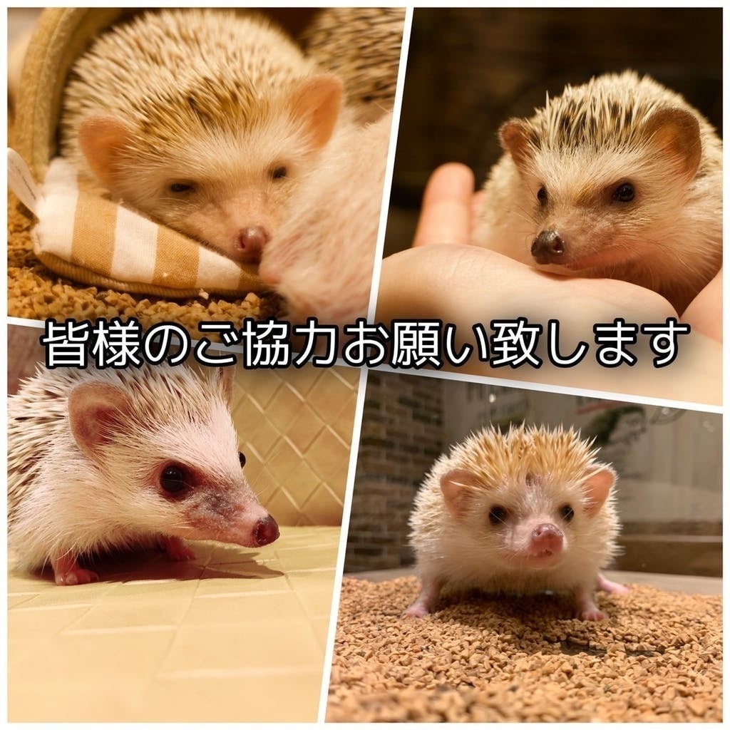 5番目のメイン画像