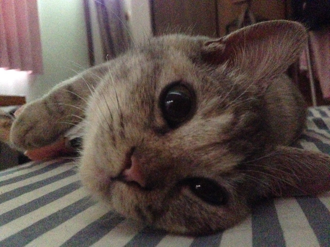 4番目のメイン画像