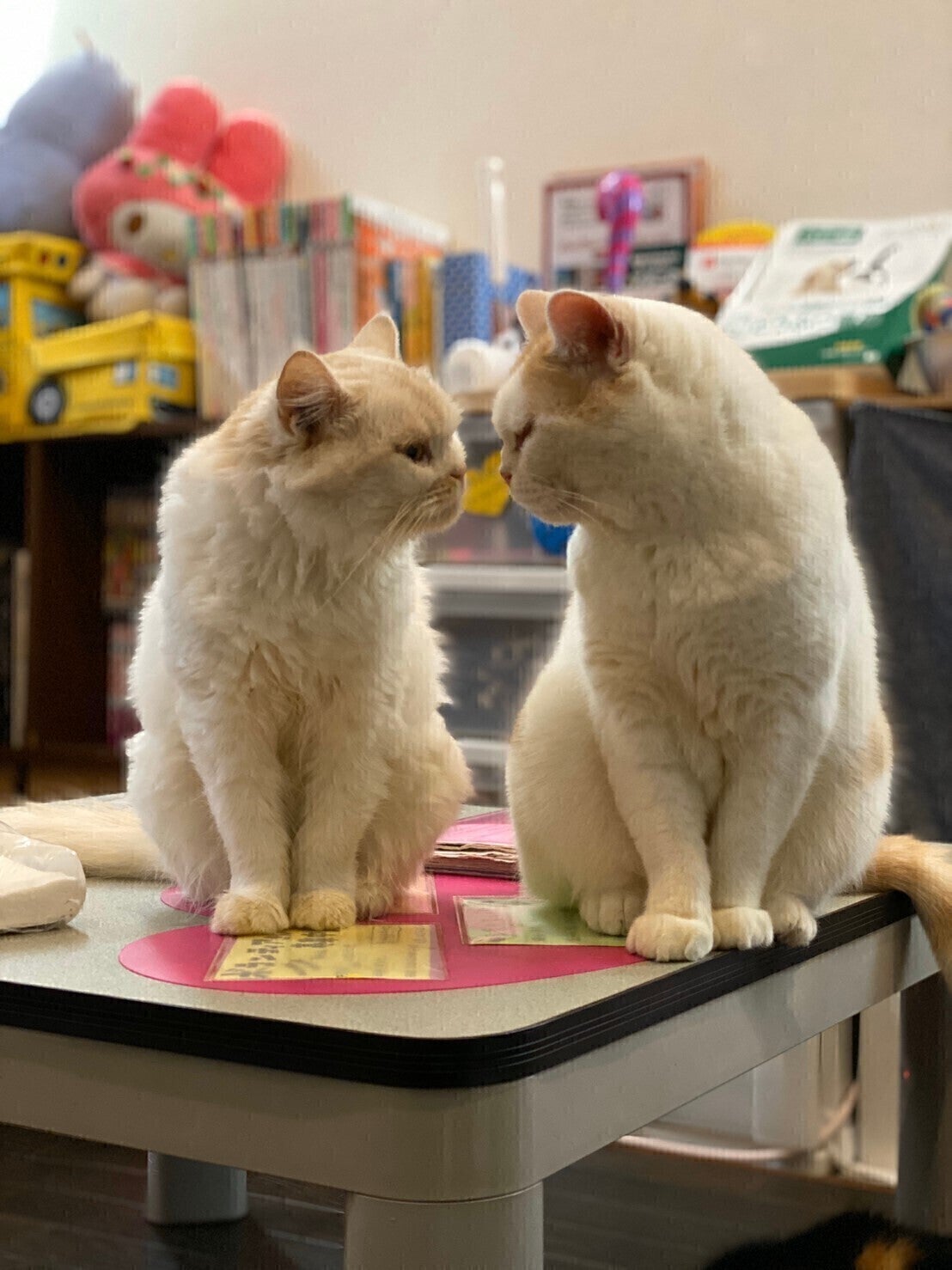 4番目のメイン画像