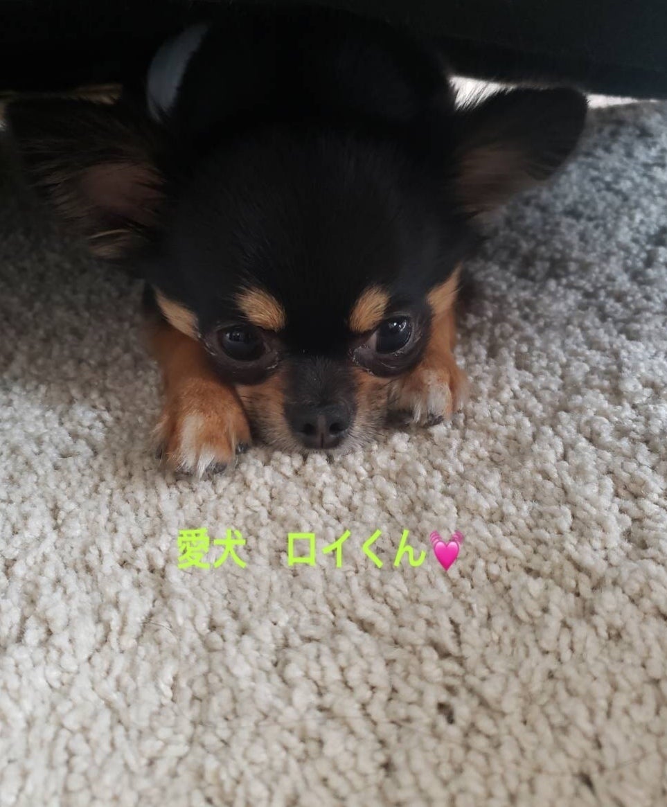 5番目のメイン画像