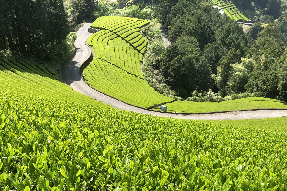 2番目のメイン画像