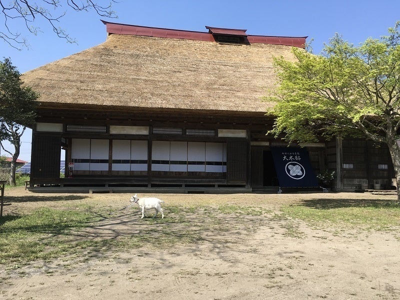 5番目のメイン画像