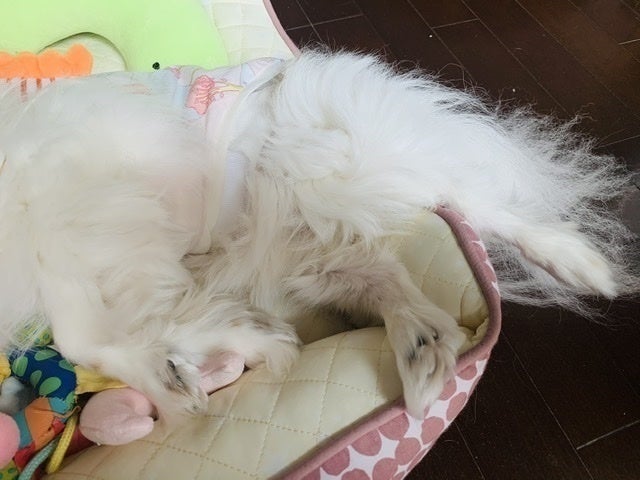 5番目のメイン画像