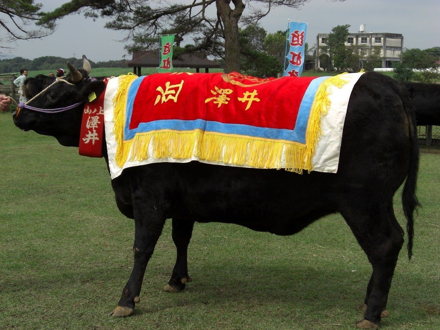 5番目のメイン画像