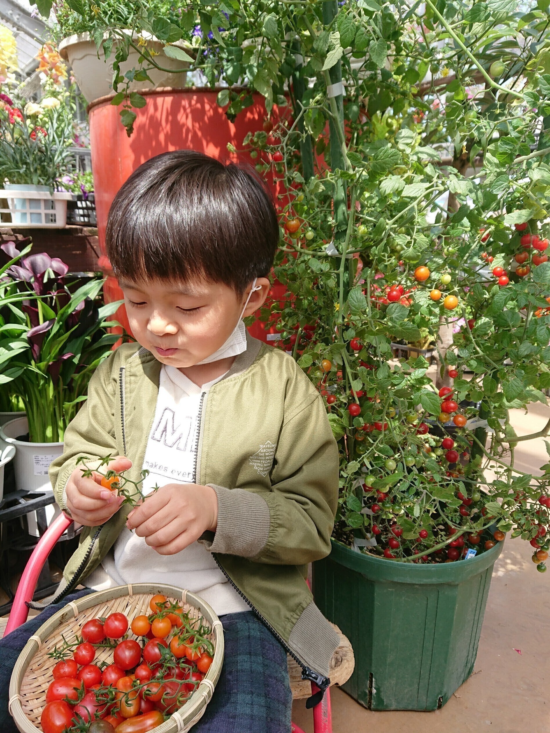 2番目のメイン画像