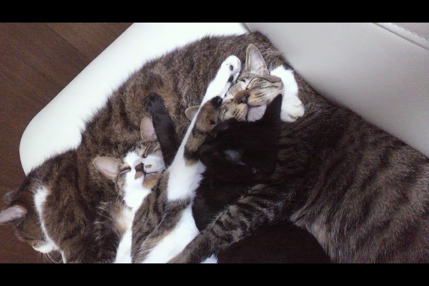 3番目のメイン画像