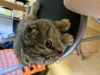 5番目のメイン画像