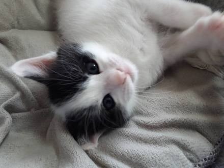 3番目のメイン画像