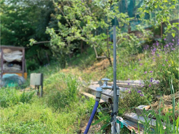 2番目のメイン画像