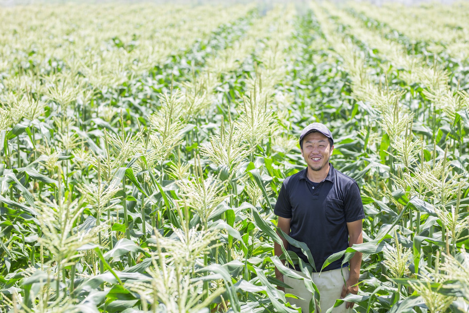 3番目のメイン画像