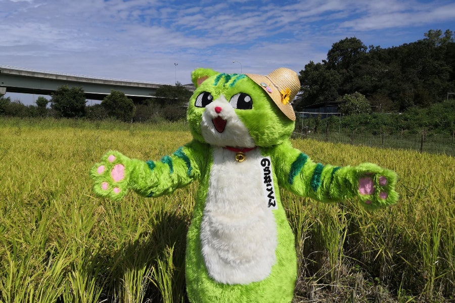 1番目のメイン画像