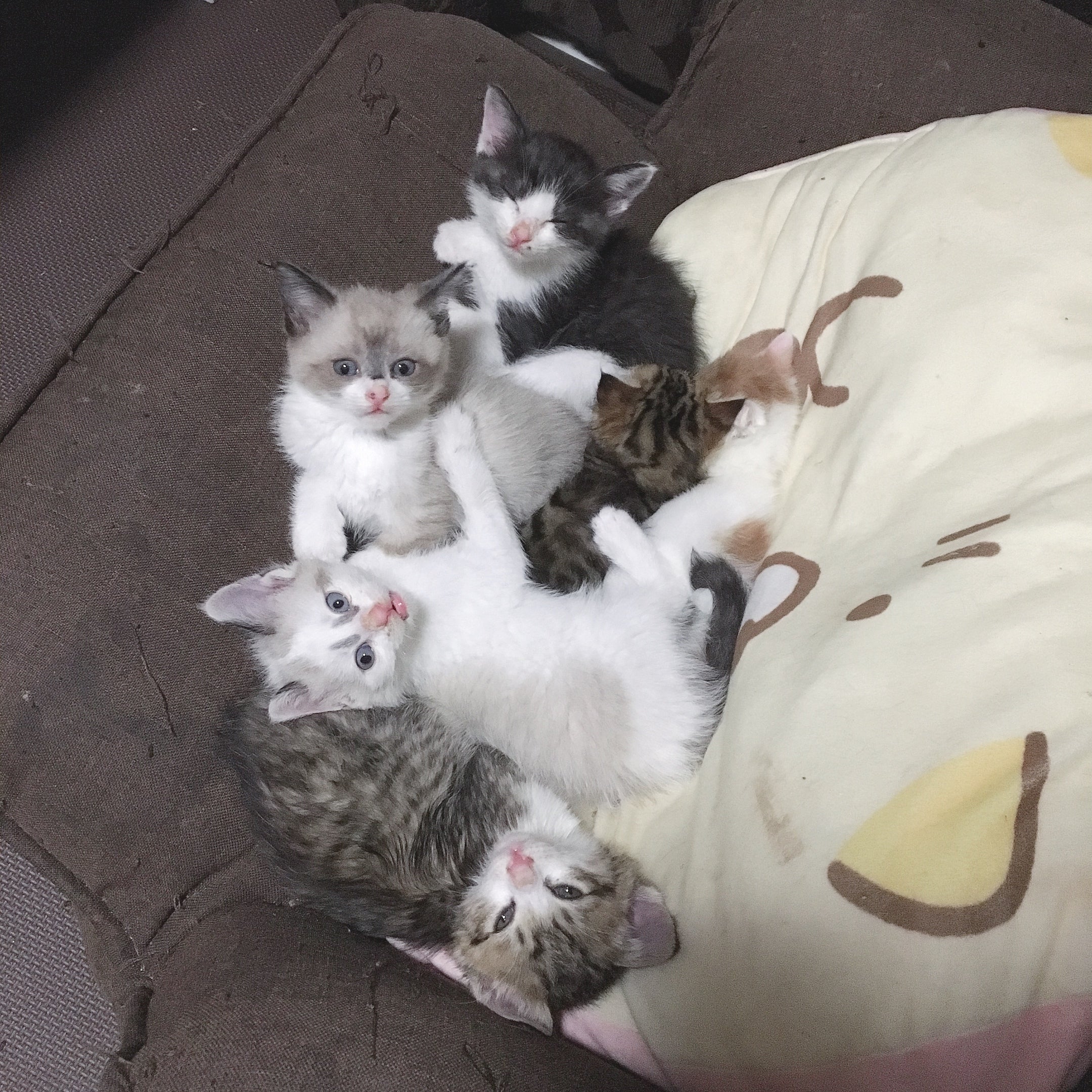 5番目のメイン画像