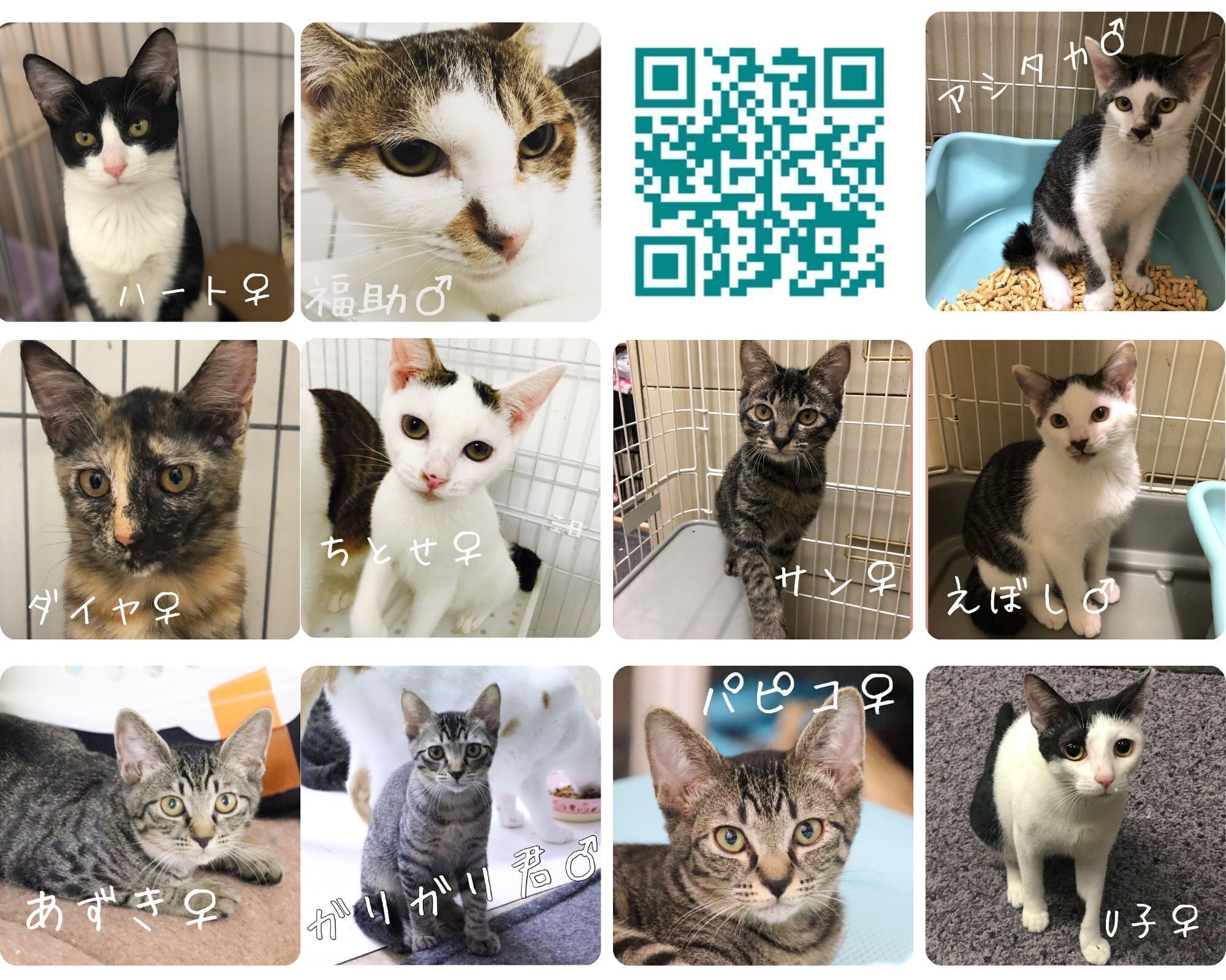 5番目のメイン画像