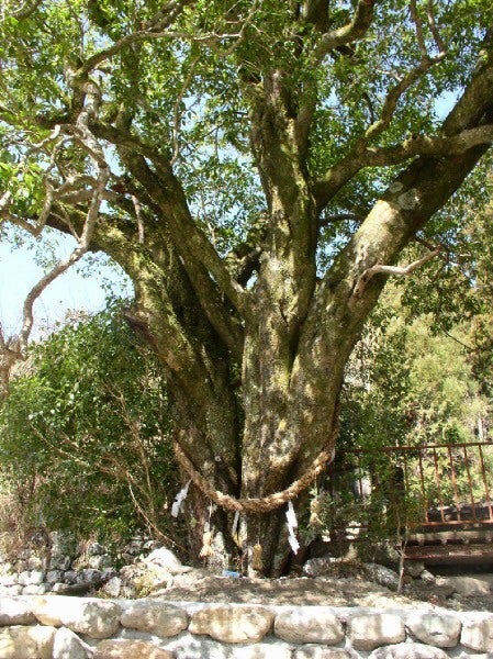 5番目のメイン画像