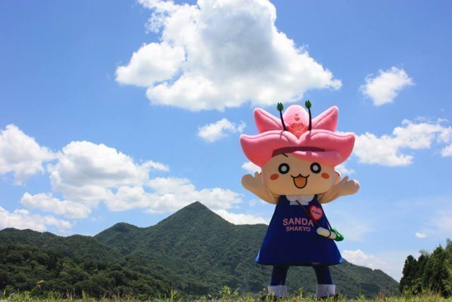 2番目のメイン画像